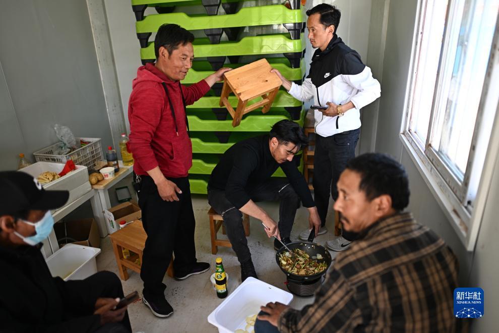 海洋之神官方网站